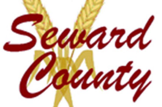 Several candidates emerge for open county seats